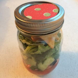 ARC Review Salad in a Jar 68 Recipes for Salads and Dressings by Anna