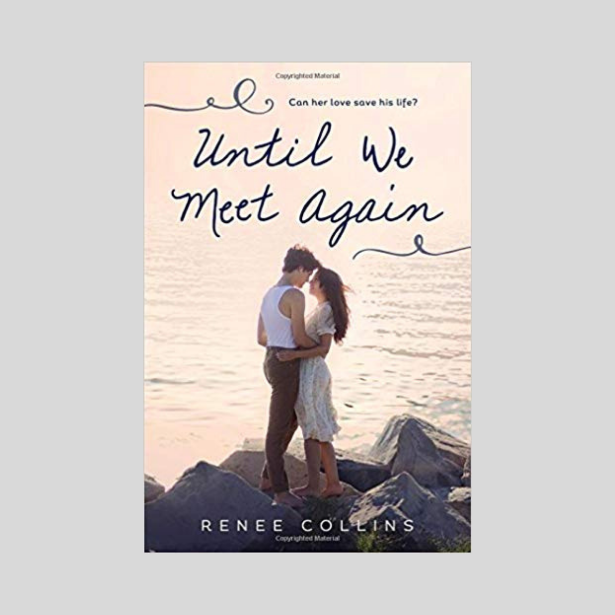 Until We Meet Again main image 1