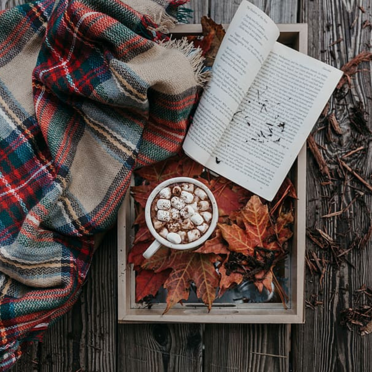 Fall For Books Our Favourite Fall Books Perfect for Cozy Autumn Reading | The Candid Cover