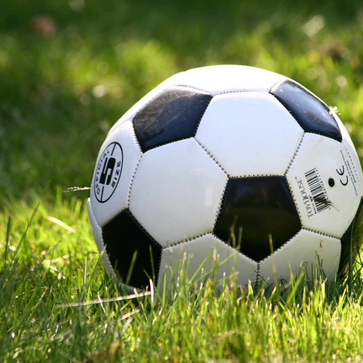 YA Sports Books for Young Adults to Read The Ultimate List The Candid Cover